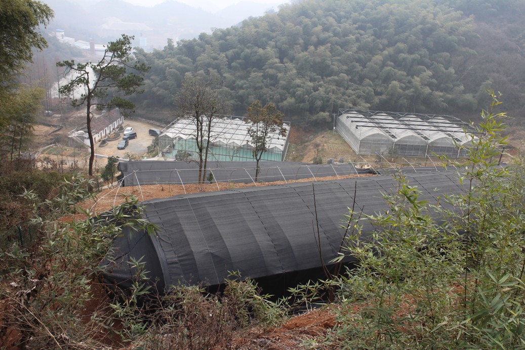 农业科技研发基地